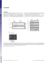Dephosphorylation of the Nuclear Factor of Activated T Cells (NFAT) Transcription Factor Is Regulated by an RNA-Protein Scaffold Complex