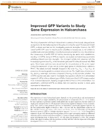 Improved GFP Variants to Study Gene Expression in Haloarchaea