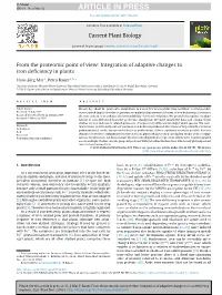 Integration of Adaptive Changes to Iron Deficiency in Plants