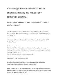 Correlating Kinetic and Structural Data on Ubiquinone Binding and Reduction by Respiratory Complex I