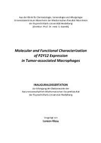 Molecular and Functional Characterization of P2Y12 Expression in Tumor-Associated Macrophages