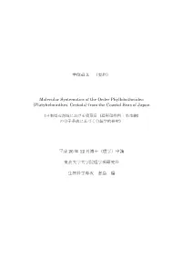 （要約） Molecular Systematics of the Order Phyllobothriidea