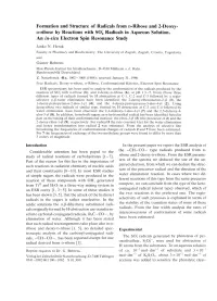 Formation and Structure of Radicals from D-Ribose and 2-Deoxy- D-Ribose by Reactions with SO 4 Radicals in Aqueous Solution
