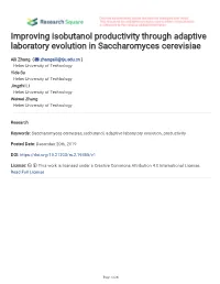 Improving Isobutanol Productivity Through Adaptive Laboratory Evolution in Saccharomyces Cerevisiae
