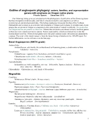 Outline of Angiosperm Phylogeny