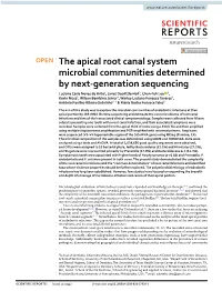 The Apical Root Canal System Microbial Communities Determined