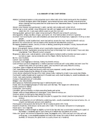 A GLOSSARY of MILITARY DRESS Ailettes: Rectangular Plates Usually Projected up on Either Side of the Head and Laced to the Shoul