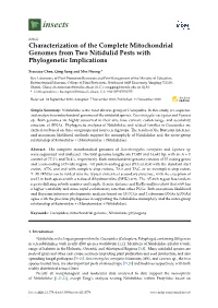 Characterization of the Complete Mitochondrial Genomes from Two Nitidulid Pests with Phylogenetic Implications
