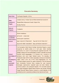 Executive Summary