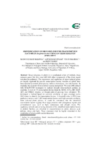 Short Communication IDENTIFICATION of DROUGHT-INDUCED TRANSCRIPTION FACTORS in Sorghum Bicolor USING GO TERM SEMANTIC SIMILARITY