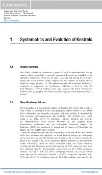 1 Systematics and Evolution of Kestrels