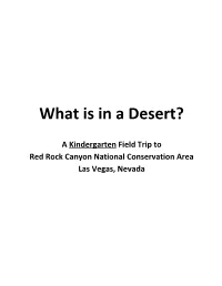 What Is in a Desert?