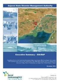 Executive Summary SIA &