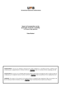Impact of Transposition on the Generation of Genetic Variability in Prunus Crop Species