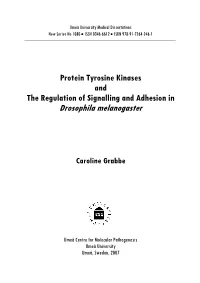 Table of Contents