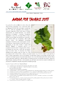Andar Per Taurasi 2013