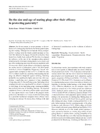 Do the Size and Age of Mating Plugs Alter Their Efficacy in Protecting Paternity?
