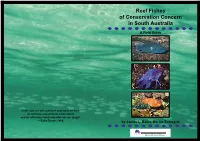 Reef Fishes of Conservation Concern in South Australia