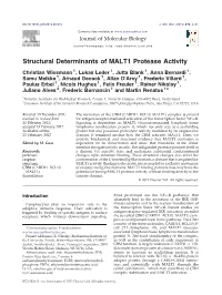 Structural Determinants of MALT1 Protease Activity