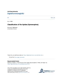 Classification of the Apidae (Hymenoptera)