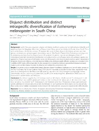 Disjunct Distribution and Distinct Intraspecific Diversification Of