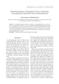 Morphological Study of Pseudopeltate Scales in Davallodes Hymenophylloides and Wibelia Divaricata (Davalliaceae)