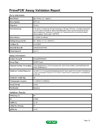Primepcr™Assay Validation Report