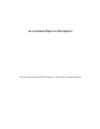 An Assessment Report on Microplastics