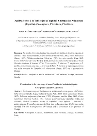 Coleoptera, Cleroidea, Cleridae)