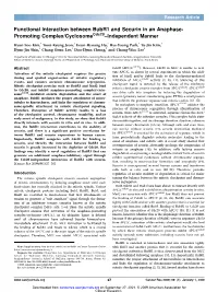 Functional Interaction Between Bubr1 and Securin in an Anaphase- Promoting Complex/Cyclosomecdc20–Independent Manner