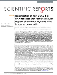 Identification of Host DEAD-Box RNA Helicases That Regulate Cellular Tropism of Oncolytic Myxoma Virus in Human Cancer Cells