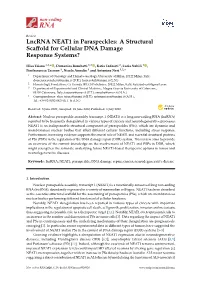 Lncrna NEAT1 in Paraspeckles: a Structural Scaﬀold for Cellular DNA Damage Response Systems?