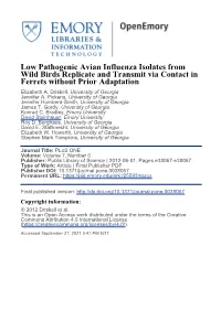 Low Pathogenic Avian Influenza Isolates from Wild Birds Replicate and Transmit Via Contact in Ferrets Without Prior Adaptation Elizabeth A
