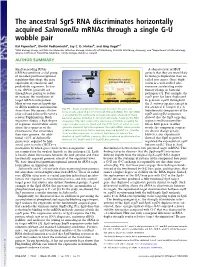 The Ancestral Sgrs RNA Discriminates Horizontally Acquired Salmonella Mrnas Through a Single G-U Wobble Pair