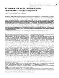 An Essential Role for the Leishmania Major Metacaspase in Cell Cycle Progression