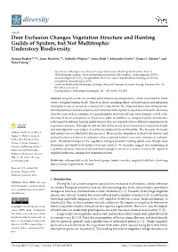 Deer Exclusion Changes Vegetation Structure and Hunting Guilds of Spiders, but Not Multitrophic Understory Biodiversity