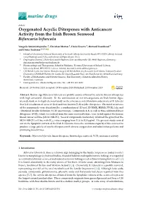 Oxygenated Acyclic Diterpenes with Anticancer Activity from the Irish Brown Seaweed Bifurcaria Bifurcata