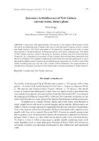 Saurauia (Actinidiaceae) of New Guinea: Current Status, Future Plans