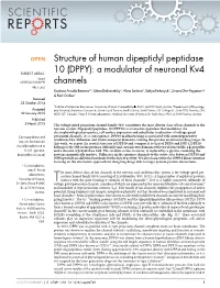 Structure of Human Dipeptidyl Peptidase 10 This Work Is Licensed Under a Creative Commons Attribution 4.0 International (DPPY): a Modulator of Neuronal Kv4 Channels