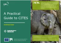 A Practical Guide to CITES
