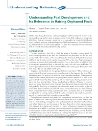 Understanding Foal Development and Its Relevance to Raising Orphaned Foals