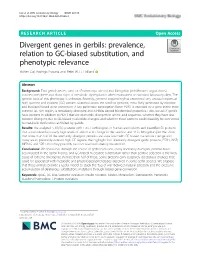Divergent Genes in Gerbils: Prevalence, Relation to GC-Biased Substitution, and Phenotypic Relevance Yichen Dai, Rodrigo Pracana and Peter W