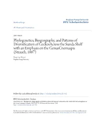 Phylogenetics, Biogeography, and Patterns of Diversification Of