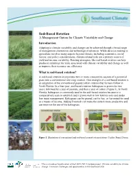 Sod-Based Rotation