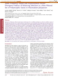 Allele Frequency–Based and Polymorphism-Versus