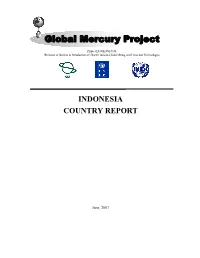 Global Mercury Project
