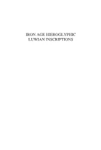 IRON AGE Hieroglyphic Luwian Inscriptions Writings from the Ancient World