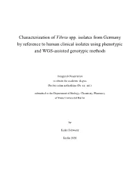Phenotypic and Genotypic Properties of Vibrio Cholerae Non-O1, Non-O139 Isolates Recovered from Domestic Ducks in Germany