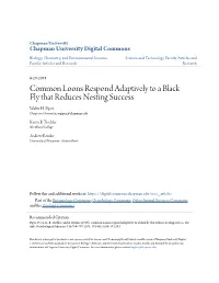 Common Loons Respond Adaptively to a Black Fly That Reduces Nesting Success Walter H