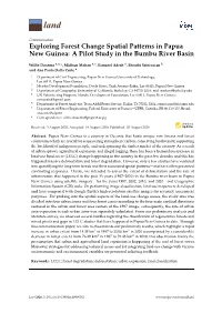 Exploring Forest Change Spatial Patterns in Papua New Guinea: a Pilot Study in the Bumbu River Basin